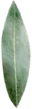 decoracion